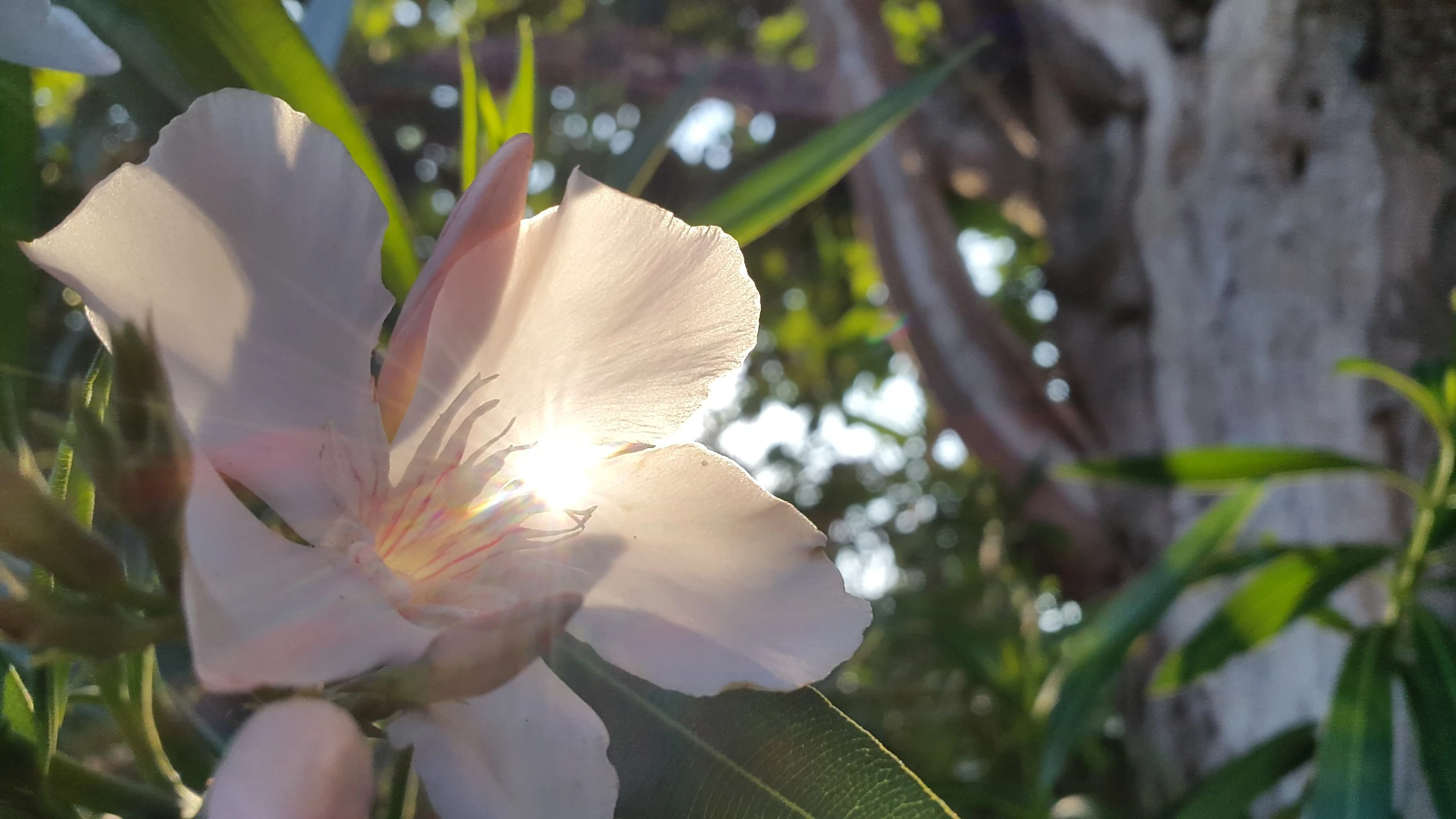 Photos Gallery